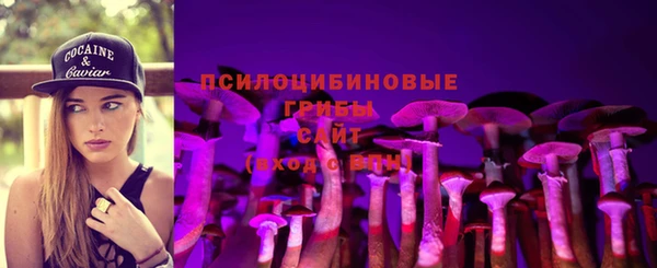 ГАЛЛЮЦИНОГЕННЫЕ ГРИБЫ Туринск